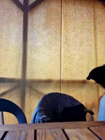 -Pupsiki- Cam Model Chat April 22, 2026