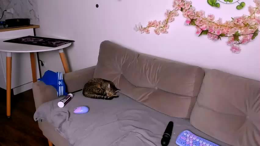 ladytrep Cam Model Chat April 22, 2026