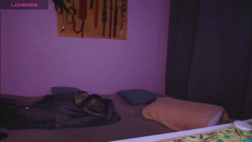 carrie_moonshine Cam Model Chat April 27, 2026