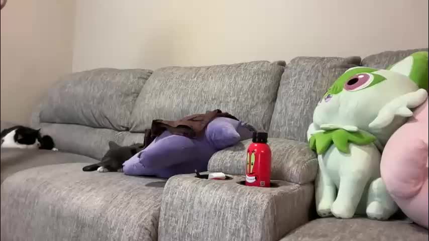 irissweets Cam Model Chat May 9, 2026