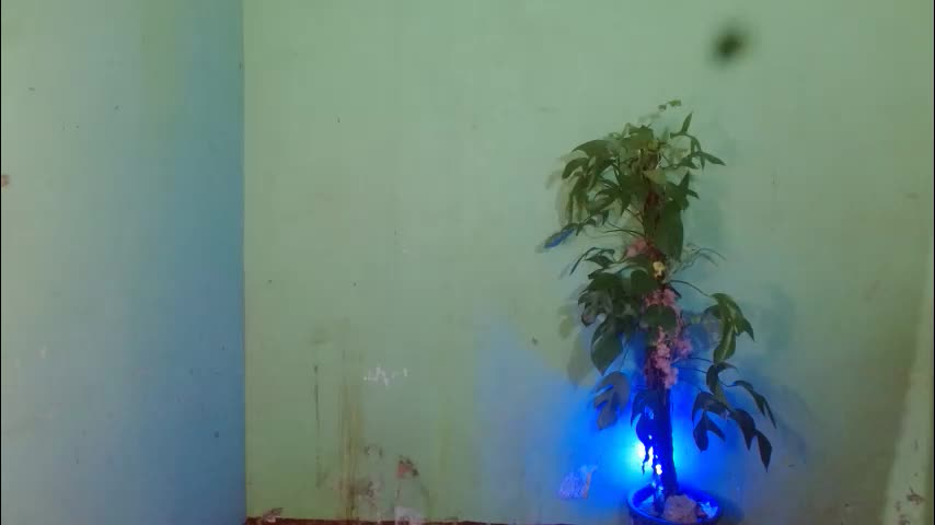 yor21bryar Cam Model Chat May 28, 2026