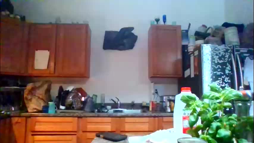 dreadedchefloxxx Cam Model Chat June 5, 2026