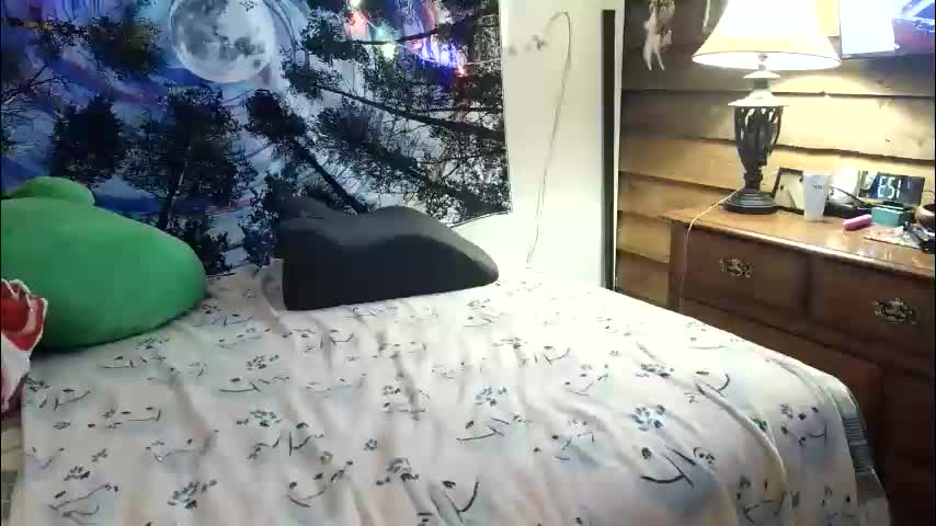 rodrod82 Cam Model Chat June 7, 2026
