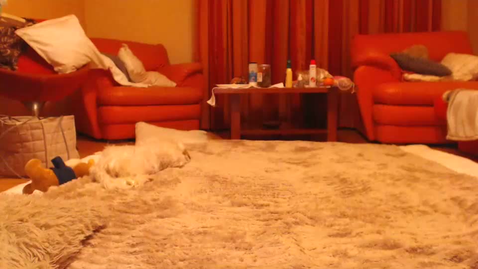 andrasweetie Cam Model Chat June 23, 2026