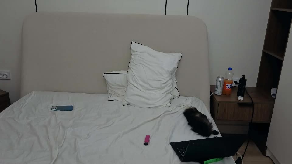 hinoxy Cam Model Chat July 3, 2026