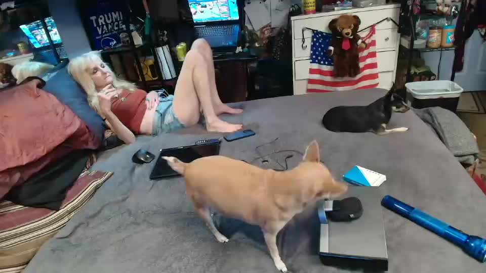 pink_black Cam Model Chat July 8, 2026