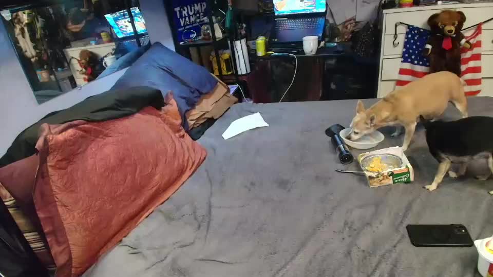 pink_black Cam Model Chat July 8, 2026