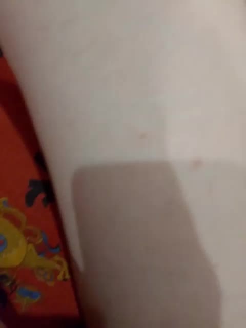 KisssKaaa-Di Cam Model Chat July 12, 2026