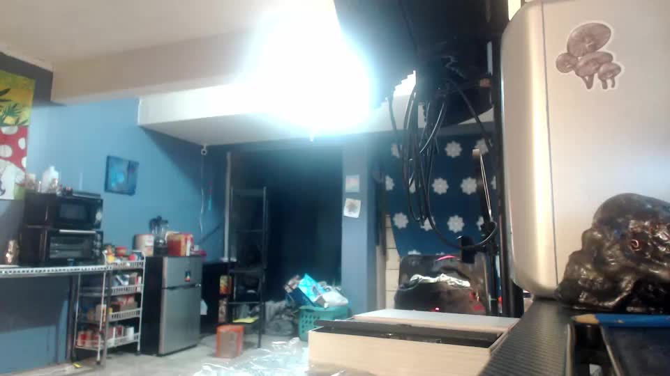 beautyxbeast Cam Model Chat July 17, 2026