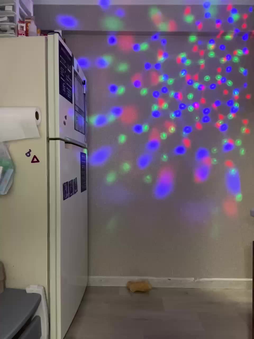 Yummypopka Cam Model Chat July 18, 2026