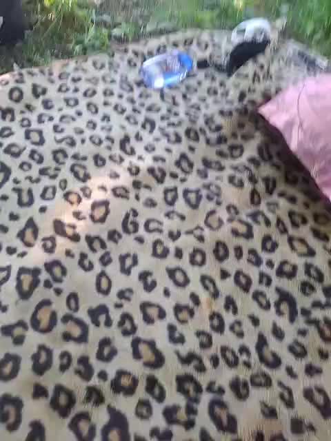 SexyPati Cam Model Chat July 20, 2026