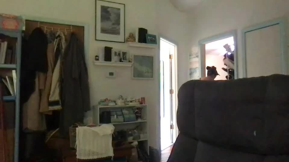 clarnbear Cam Model Chat July 28, 2026