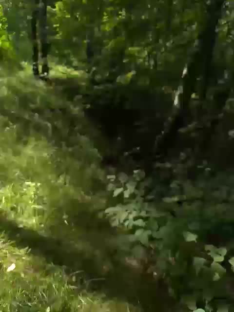 Na-izi Cam Model Chat August 1, 2026