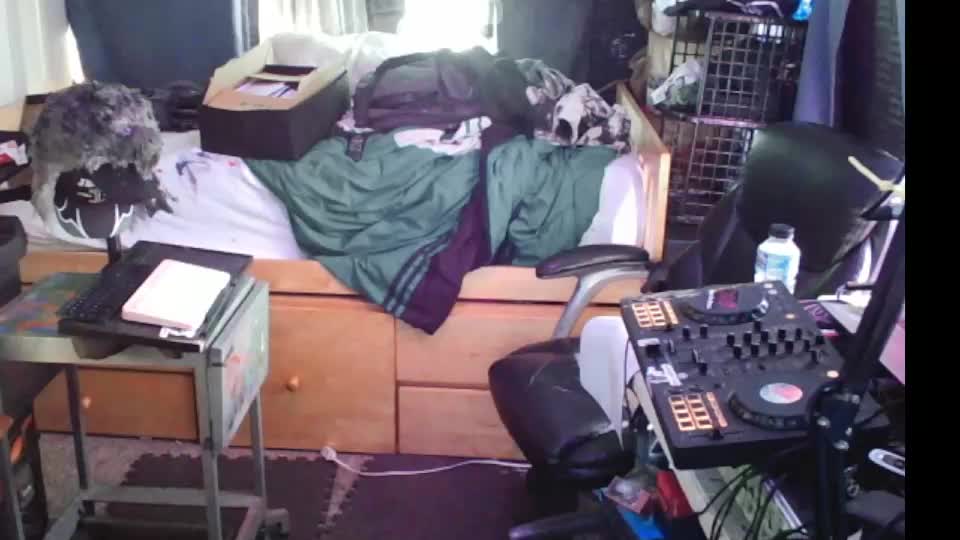 kinkybiguy14 Cam Model Chat August 11, 2026
