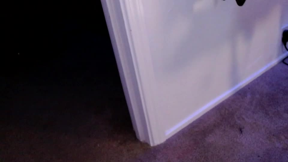 flanneldong Cam Model Chat August 12, 2026