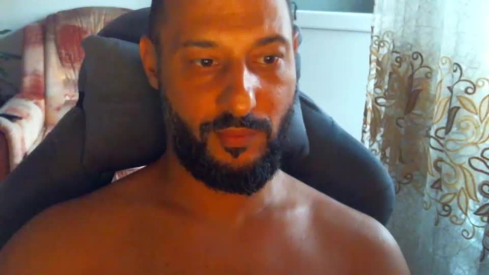 wildcrazypussy Cam Model Chat August 14, 2026