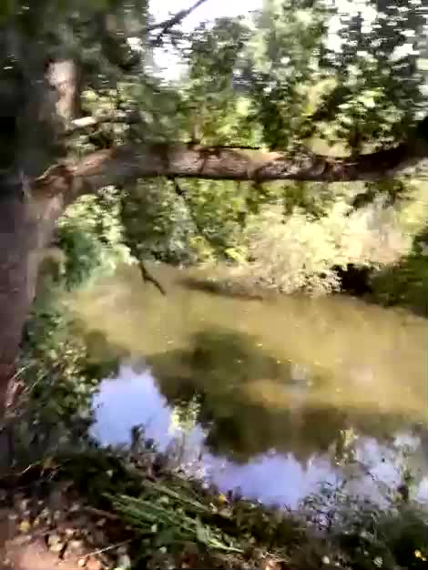 ruma_vibe Cam Model Chat August 22, 2026