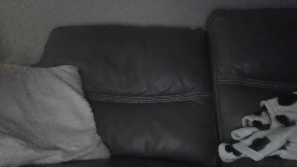 ab_cj Cam Model Chat September 1, 2026