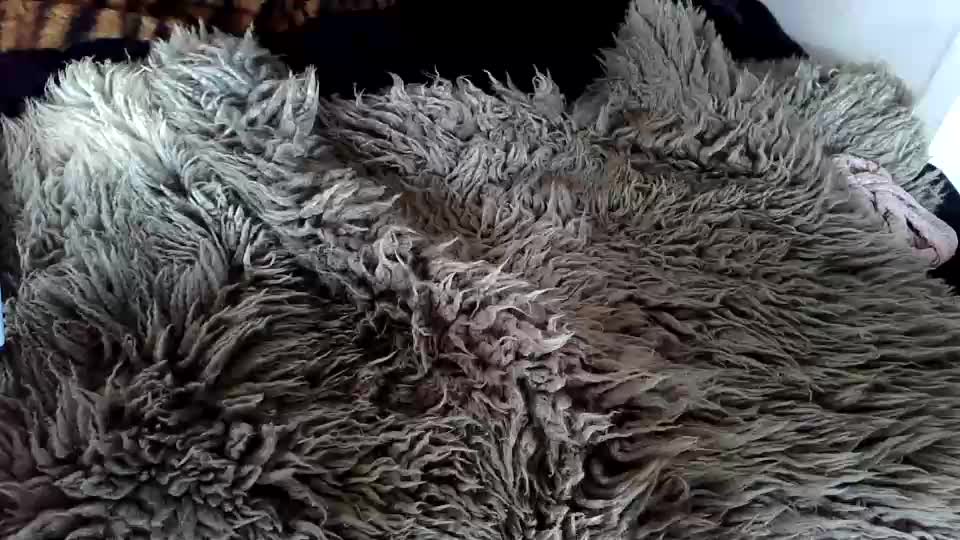 hellelandshadow Cam Model Chat September 16, 2026