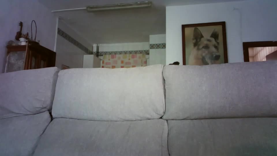lolahueso Cam Model Chat September 17, 2026