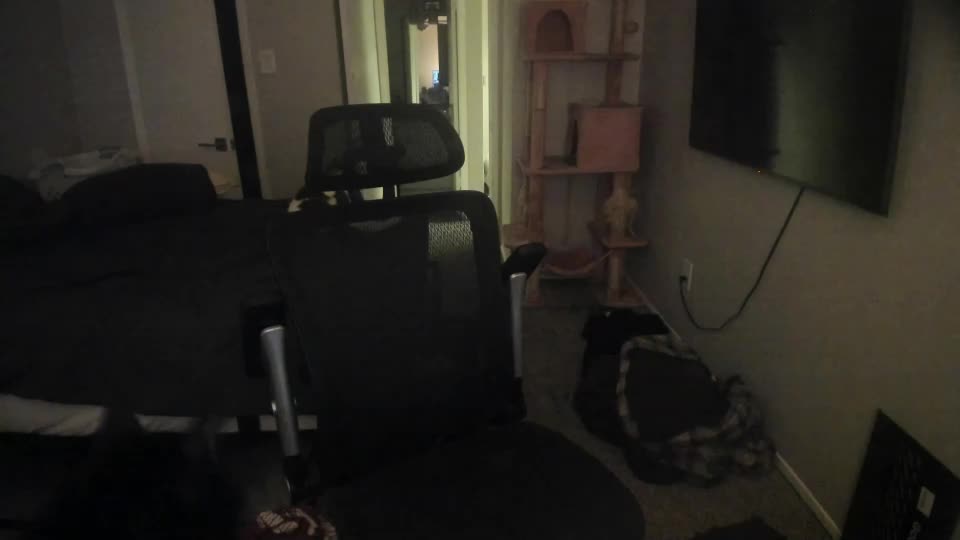 c00ki3m0nstr Cam Model Chat September 20, 2026