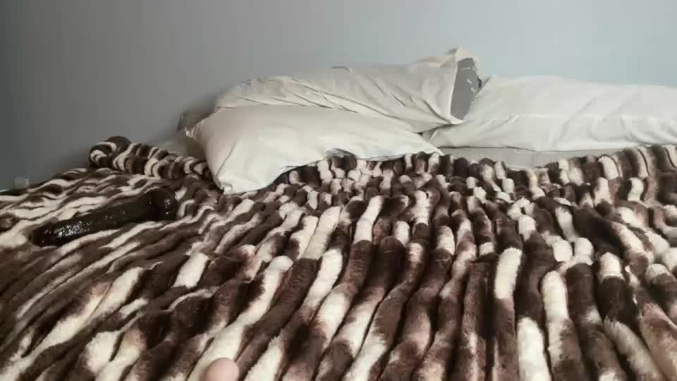 weteaseu69 Cam Model Chat September 22, 2026